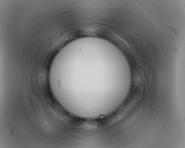 X0000113900603200910081830