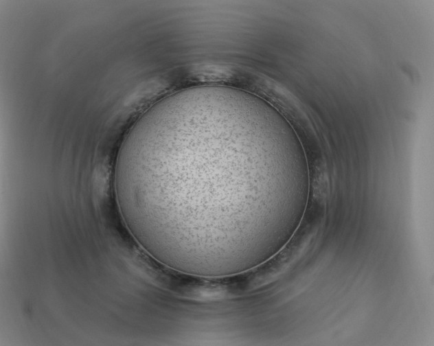 X0000113900604200910081830