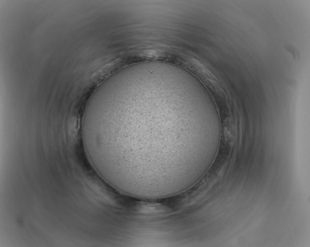 X0000113900605200910081830