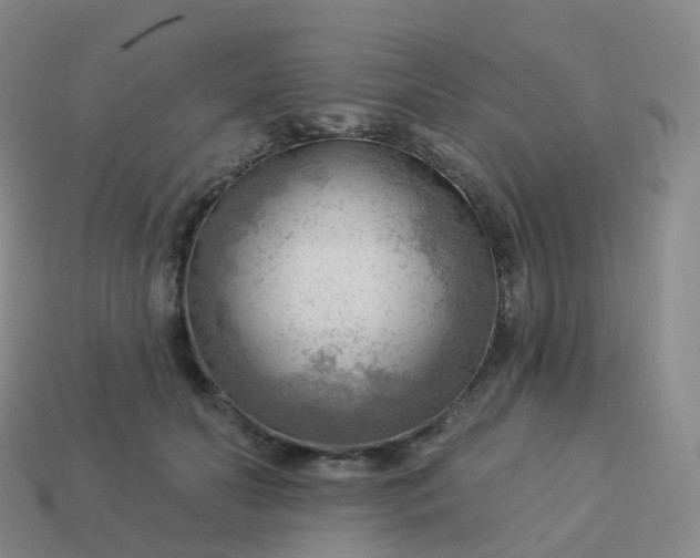 X0000113900606200910081830