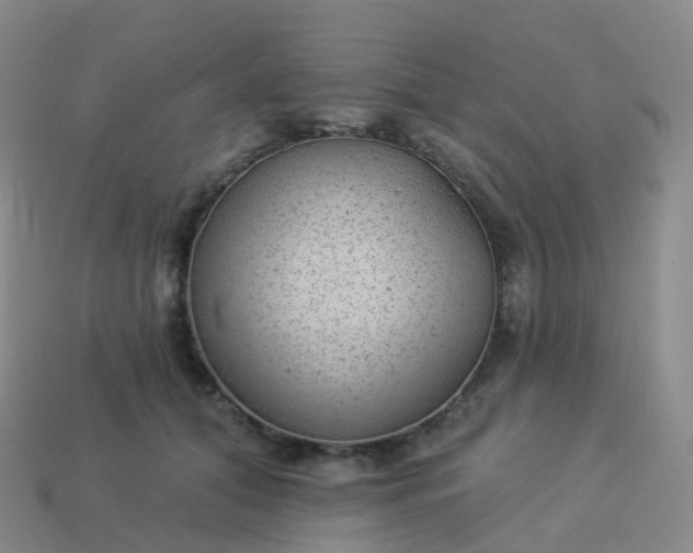 X0000113900608200910081830