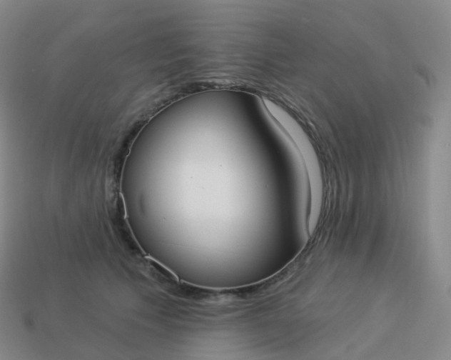 X0000113900609200910081830