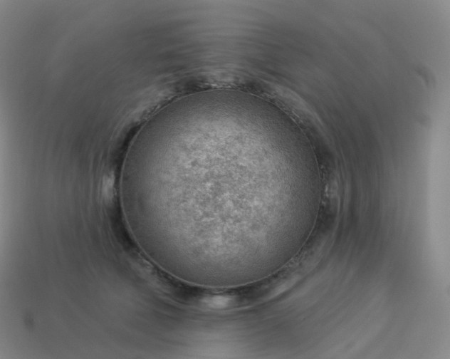 X0000113900610200910081830