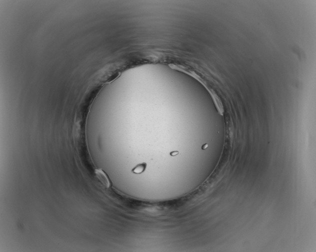 X0000113900611200910081830