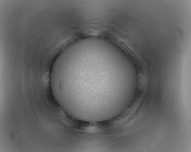 X0000113900612200910081830