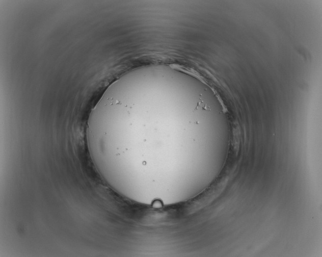 X0000113900613200910081830