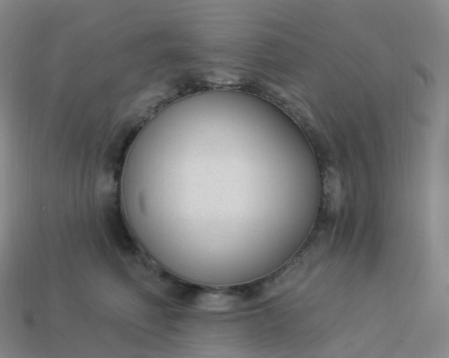 X0000113900614200910081830