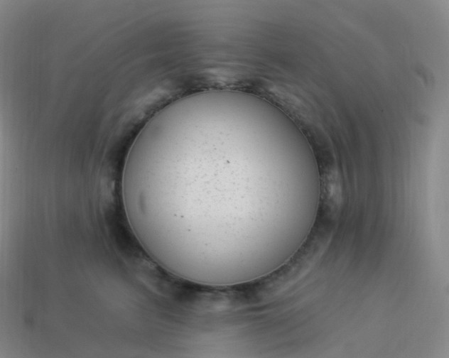 X0000113900615200910081830