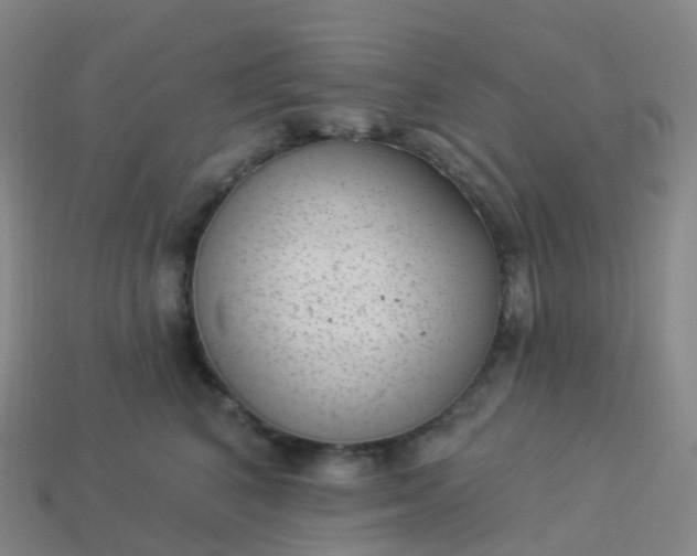 X0000113900616200910081830