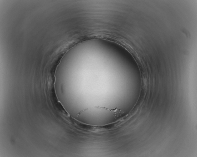 X0000113900617200910081830