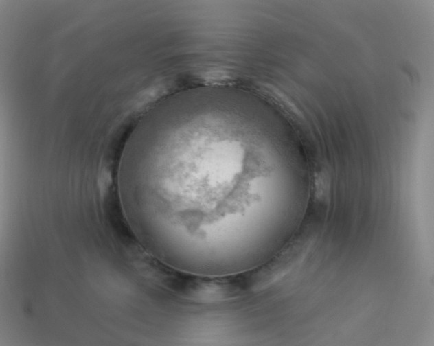 X0000113900618200910081830