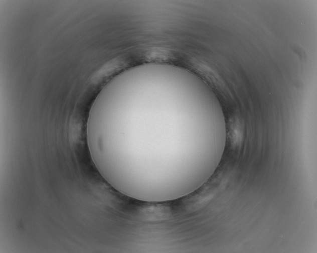 X0000113900619200910081830