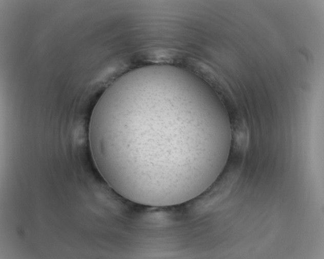 X0000113900620200910081830