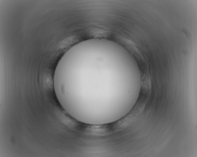 X0000113900622200910081830