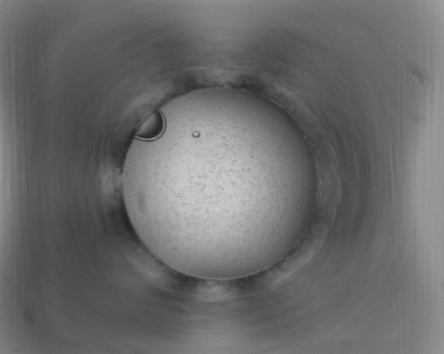 X0000113900624200910081830