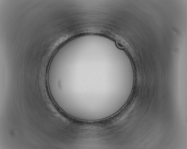 X0000113900625200910081830