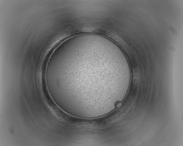 X0000113900626200910081830