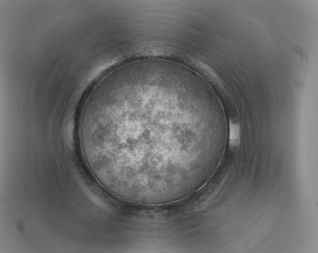 X0000113900627200910081830