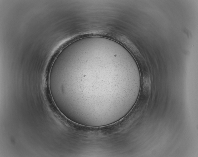 X0000113900628200910081830