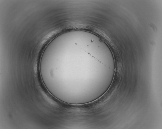 X0000113900629200910081830