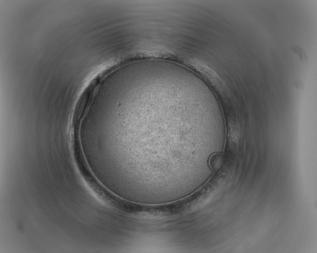 X0000113900630200910081830