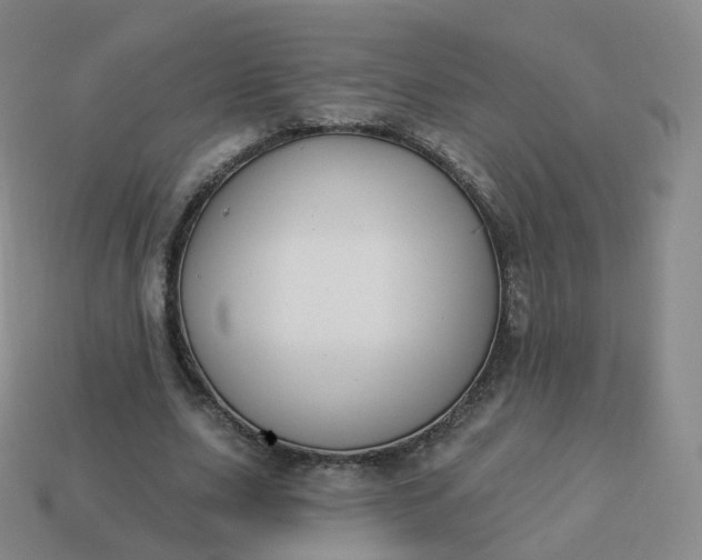 X0000113900631200910081830