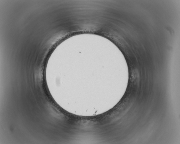 X0000113900632200910081830