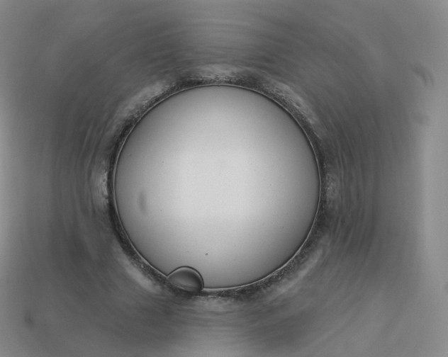 X0000113900633200910081830