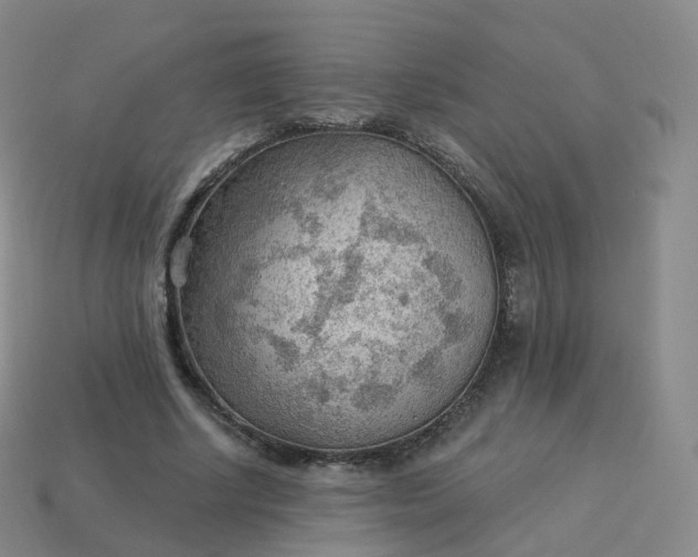 X0000113900634200910081830