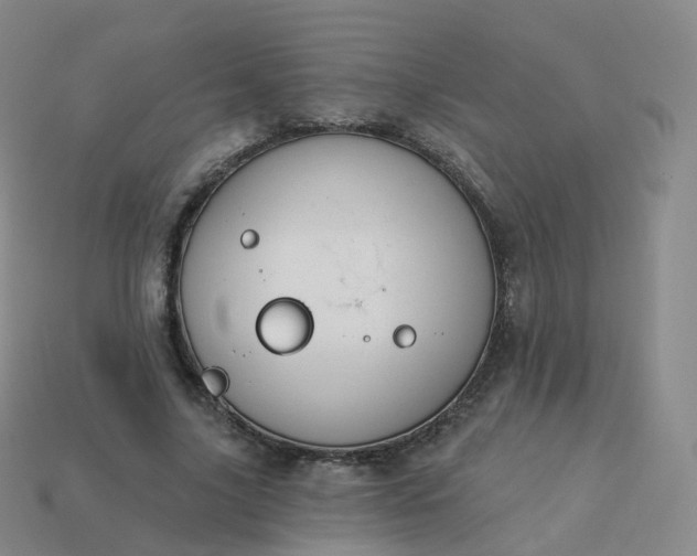 X0000113900635200910081830