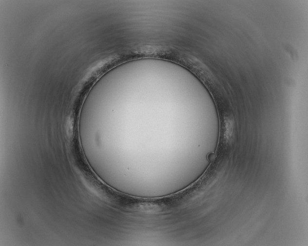 X0000113900636200910081830