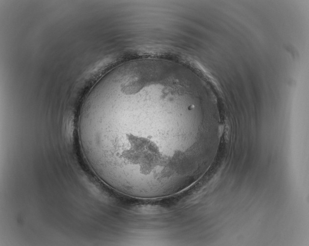 X0000113900637200910081830