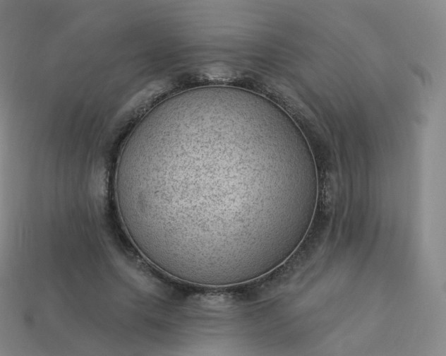 X0000113900639200910081830