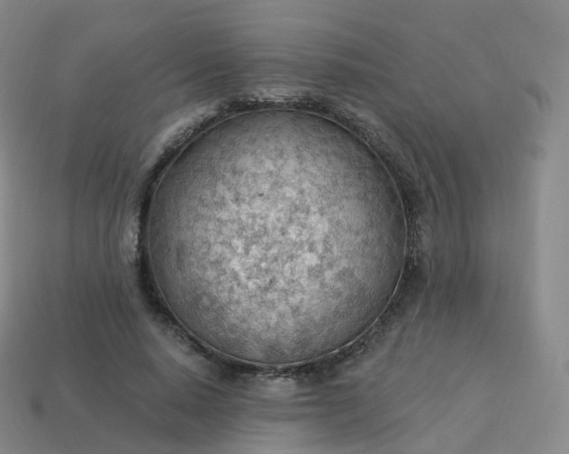 X0000113900640200910081830