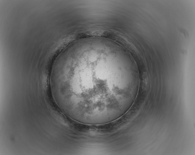 X0000113900641200910081830