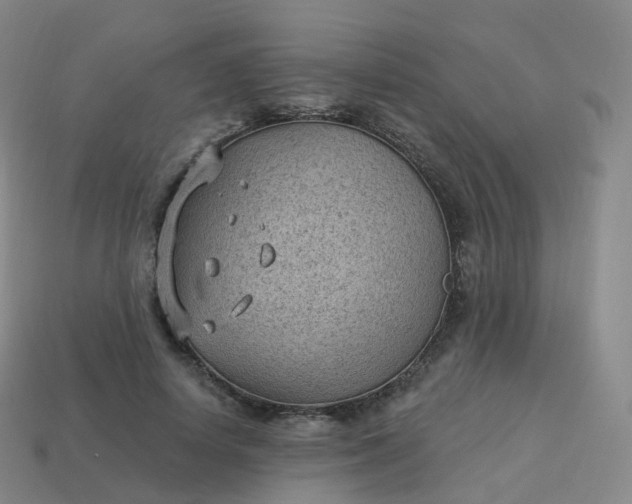 X0000113900642200910081830