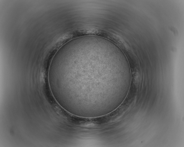 X0000113900643200910081830