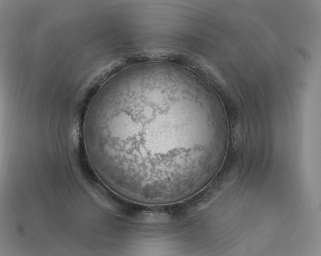 X0000113900644200910081830