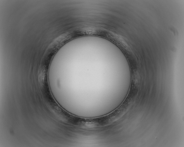 X0000113900645200910081830