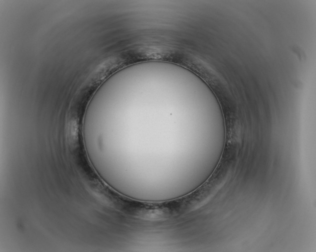 X0000113900646200910081830