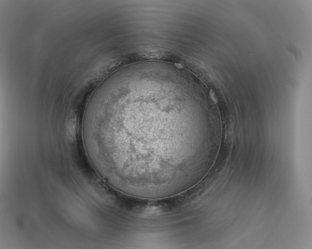 X0000113900647200910081830