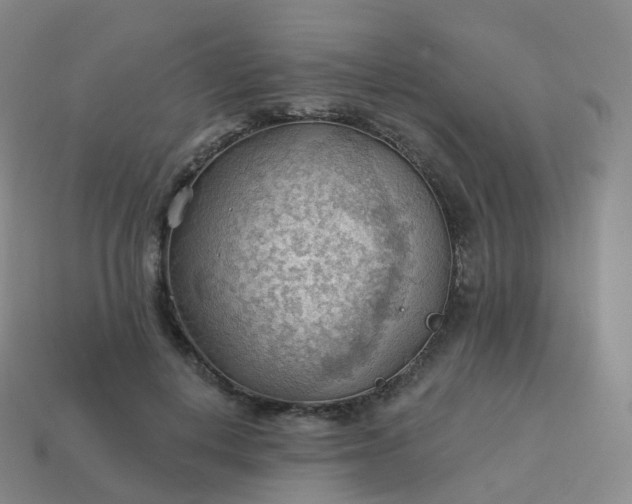 X0000113900648200910081830