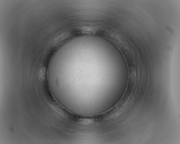 X0000113900649200910081830