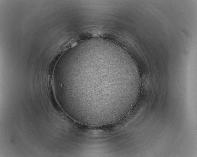 X0000113900650200910081830