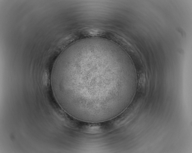 X0000113900651200910081830