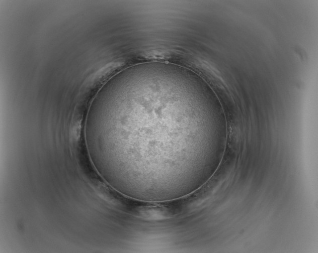 X0000113900652200910081830