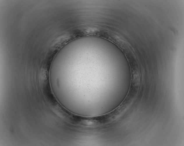 X0000113900654200910081830