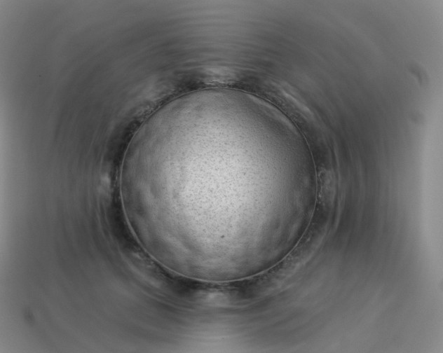 X0000113900655200910081830