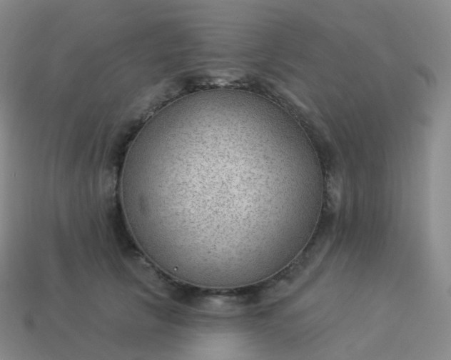 X0000113900657200910081830