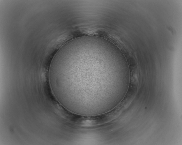 X0000113900658200910081830